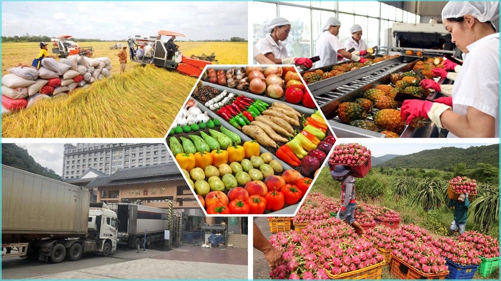 Trung Quốc đứng đầu về nhập khẩu rau quả Việt Nam